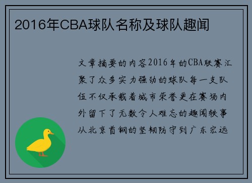 2016年CBA球队名称及球队趣闻